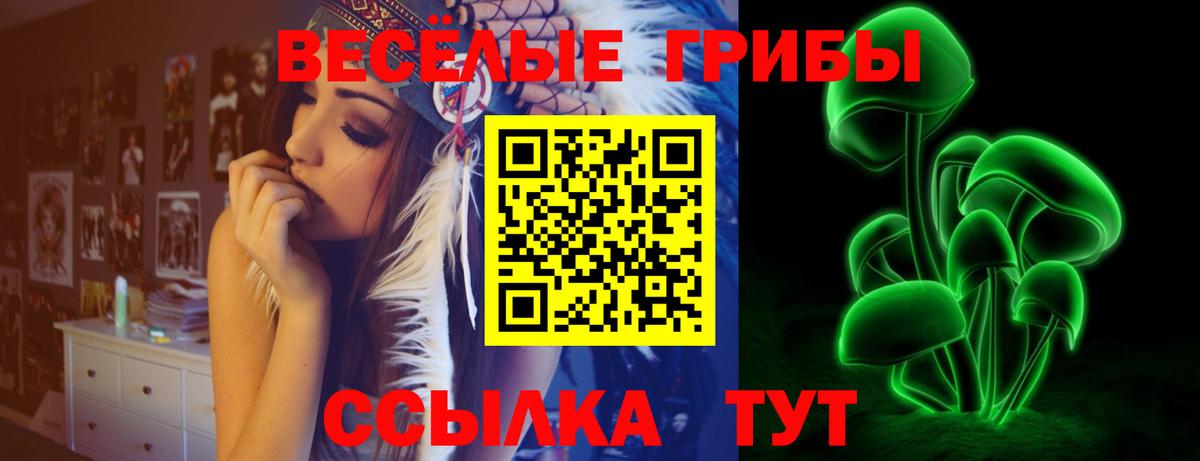 Псилоцибиновые грибы Magic Shrooms Десногорск